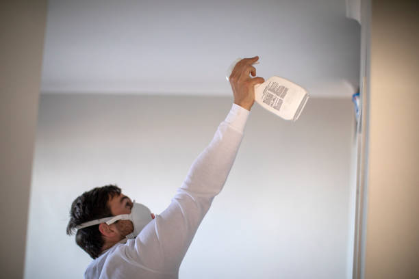 Best Certified Mold Removal  in West End, NY
