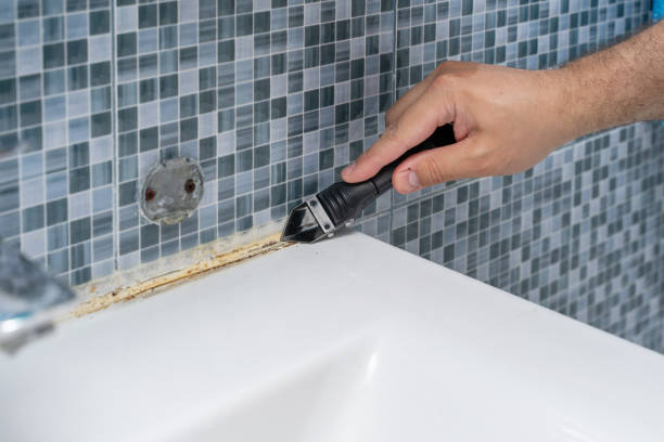 Best Residential Mold Removal  in West End, NY