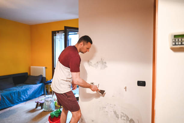 Best Affordable Mold Removal  in West End, NY
