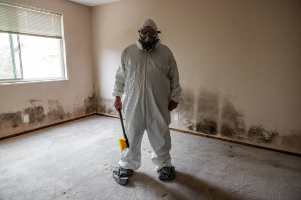 Best Crawl Space Mold Removal  in West End, NY