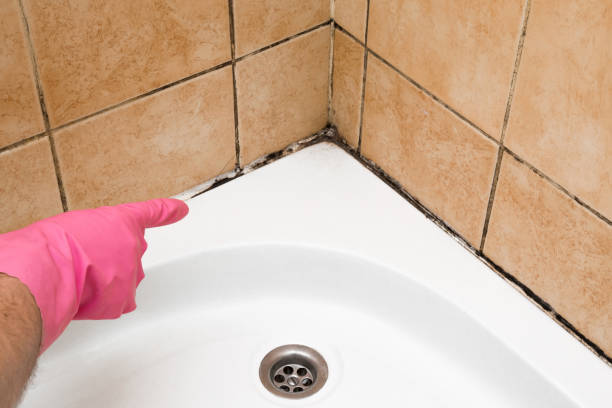 Best Mold Cleaning Services  in West End, NY